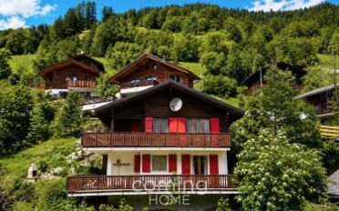 Chalet 7 rooms - image - 1