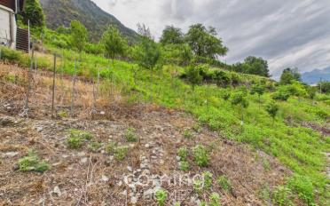 Agrarland - image - 9