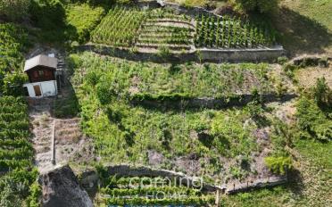 Agrarland - image - 3