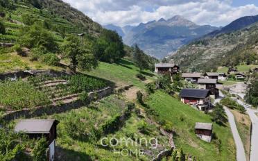 Agrarland - image - 7
