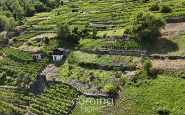 Agrarland - image - 2