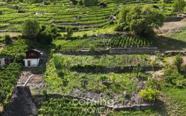Agrarland - image - 4