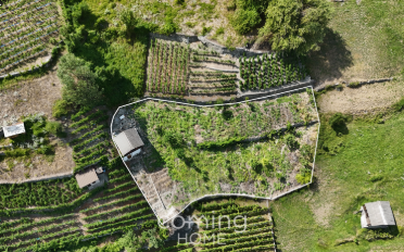 Agrarland - image - 1