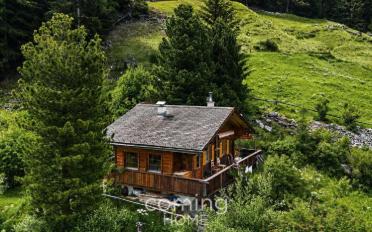 Single house 4 rooms - image - 6