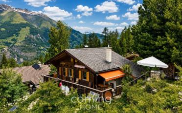 Single house 4 rooms - image - 11