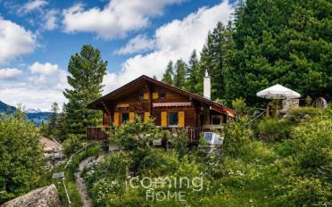 Single house 4 rooms - image - 13
