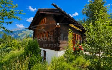 Chalet 3 rooms - image - 1