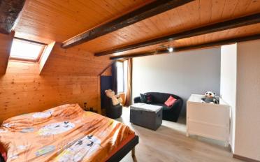 Einfamilienhaus 8.5 Zimmer - image - 6