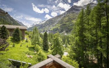 Chalet 6.5 Zimmer - image - 6