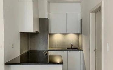 Apartment 1.5 rooms - image - 3