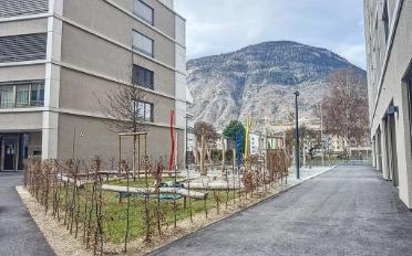 Wohnung 3.5 Zimmer - image - 10
