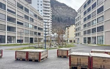 Wohnung 3.5 Zimmer - image - 11