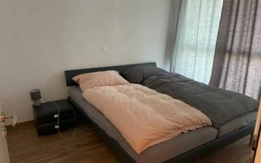 Wohnung 2.5 Zimmer - image - 5
