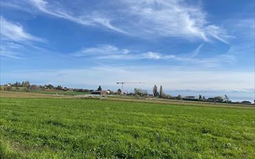 Apartment - image - 1