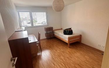 Wohnung 3.5 Zimmer - image - 4