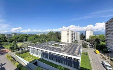 Wohnung 4 Zimmer - image - 2