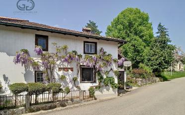 Einfamilienhaus 4.5 Zimmer - image - 1