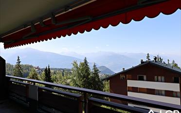 Appartement 2.5 pièces - image - 2