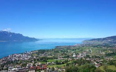 Wohnung 3.5 Zimmer - image - 1