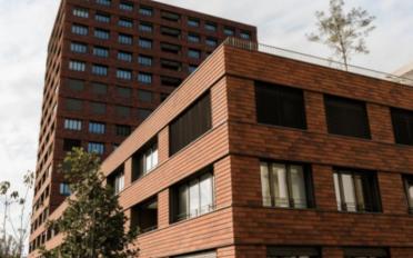 Duplex 3.5 Zimmer - image - 13