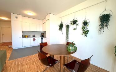 Wohnung 3.5 Zimmer - image - 4