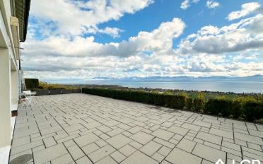 Wohnung 3.5 Zimmer - image - 1