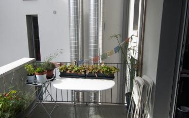 Wohnung - image - 8