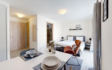 Appartement meublé 1.5 pièces - image - 3