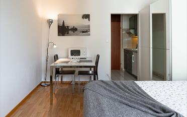 Appartement meublé 1.5 pièces - image - 3