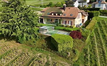 Wohnung 5.5 Zimmer - image - 1