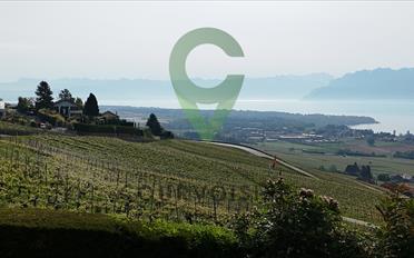 Wohnung 2.5 Zimmer - image - 1