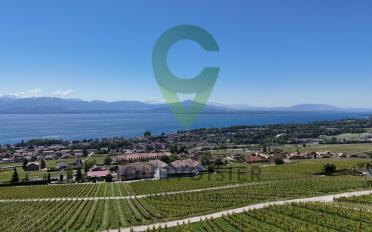 Wohnung 5.5 Zimmer - image - 7