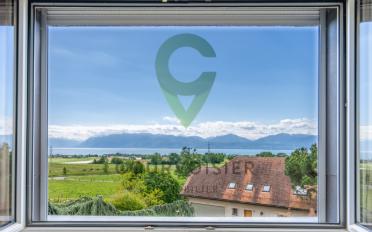 Einfamilienhaus 7.5 Zimmer - image - 10