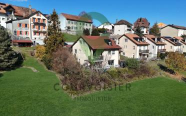 Einfamilienhaus 9 Zimmer - image - 1