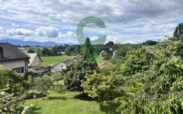 Doppeleinfamilienhaus 6.5 Zimmer - image - 11