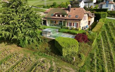 Single house 10 rooms - image - 1