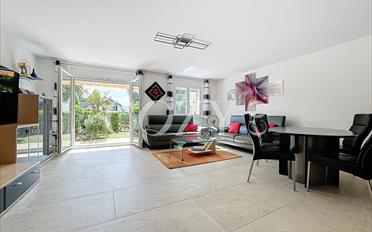 Wohnung 2.5 Zimmer - image - 1
