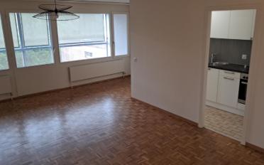 Wohnung ein Zimmer - image - 3