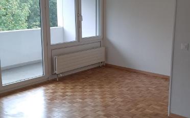 Appartement - image - 3