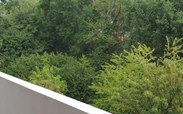 Appartement - image - 4