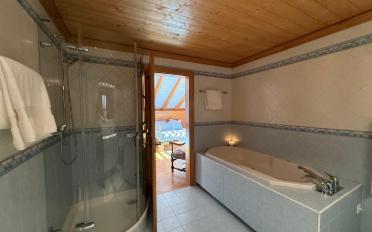 Duplex 8.5 rooms - image - 10