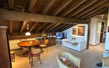 Attic flat 2.5 rooms - image - 3