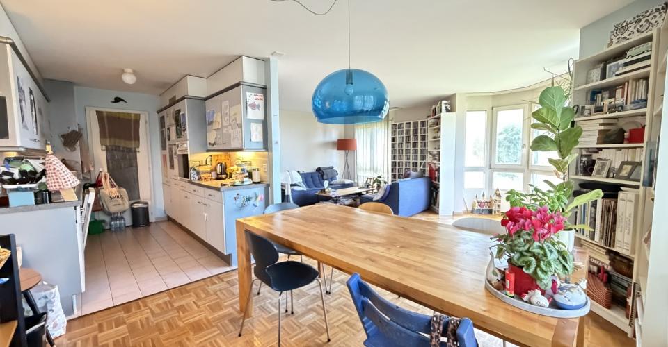 Appartements de 5.5 pièces avec vue dégagée sur le lac