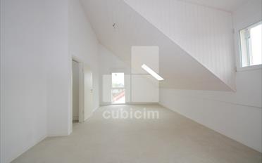 Duplex 3.5 Zimmer - image - 8