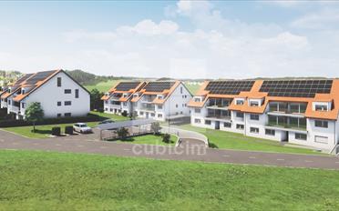 Duplex 3.5 Zimmer - image - 12