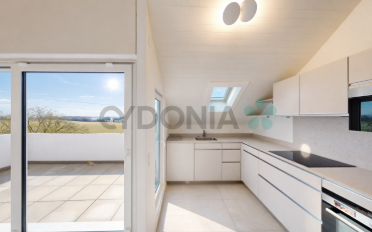 Attic flat 4 rooms - image - 2