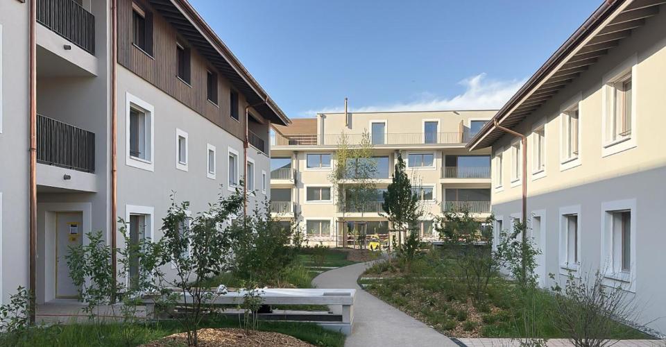 Chancy