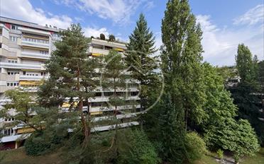 Wohnung 7.5 Zimmer - image - 1