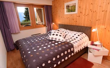 Appartement - image - 6