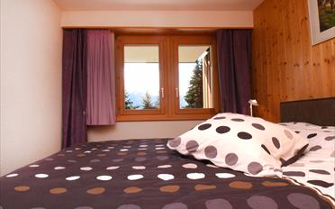 Appartement - image - 7